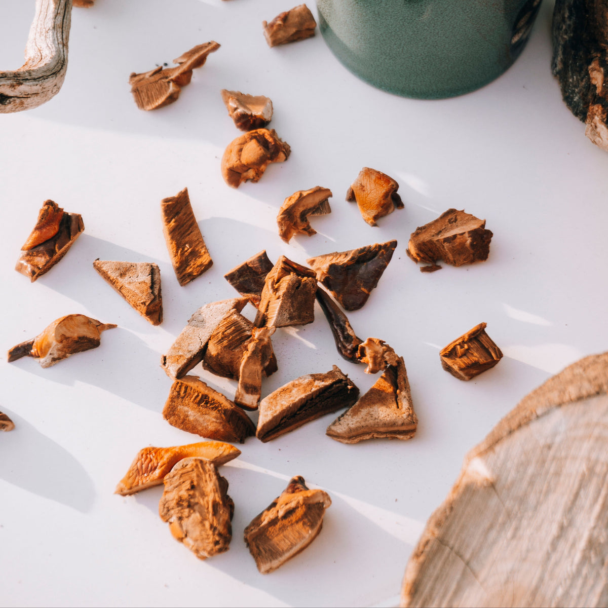 Chaga