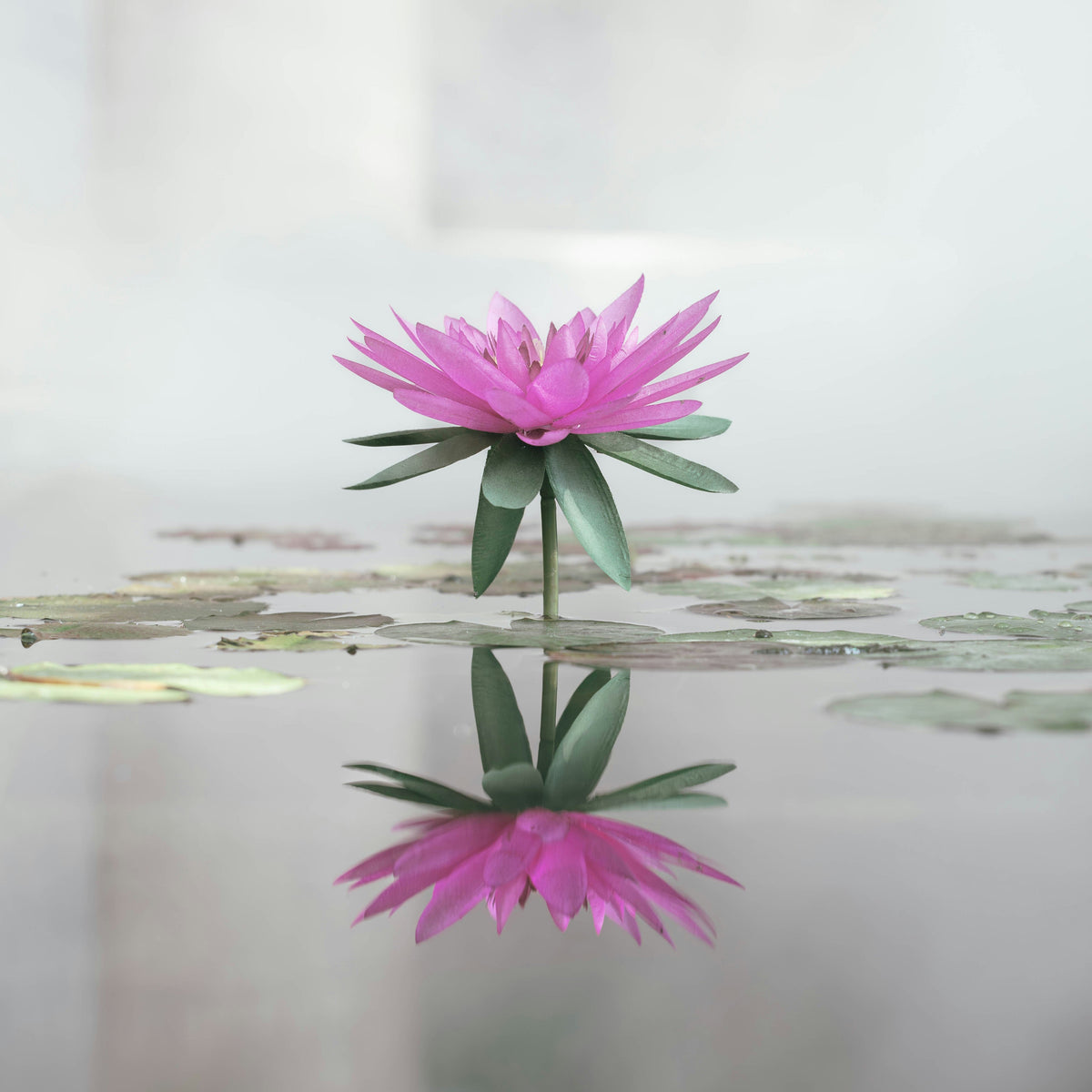 What "Biomimetic" Actually Means on a Skincare Label (And Why It Matters After 45)