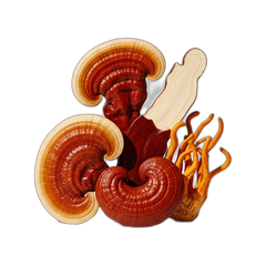 5% MUSHROOM COMPLEX
