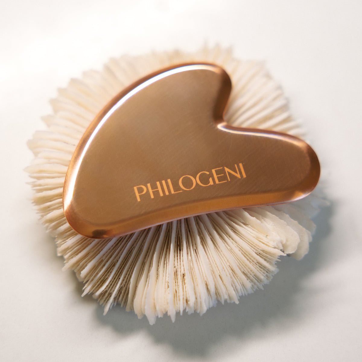 Philogeni Copper Guasha resting on a sea-shell on a white background